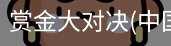赏金大对决